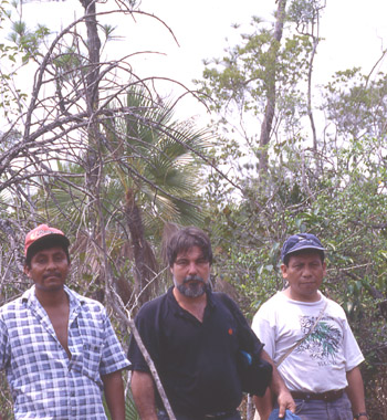 Descripción de la imagen